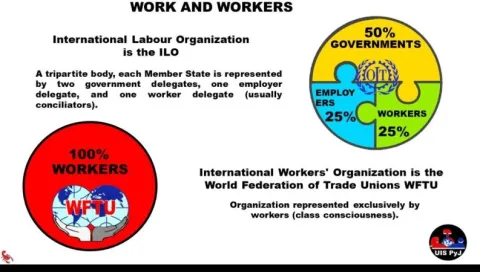 International Labour Organization. 